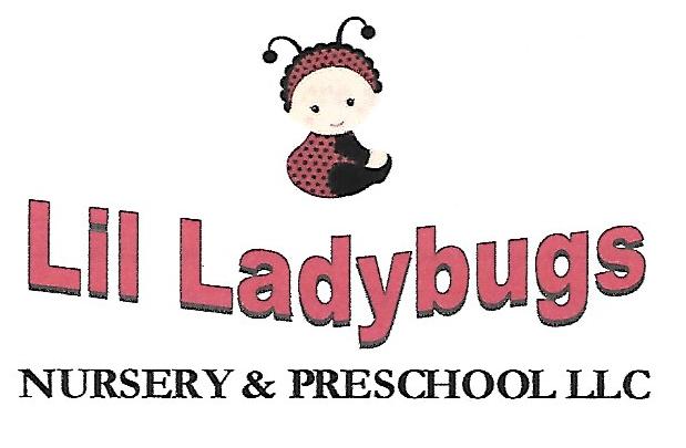 Lil Ladybugs NUrsery & Preschool LLC